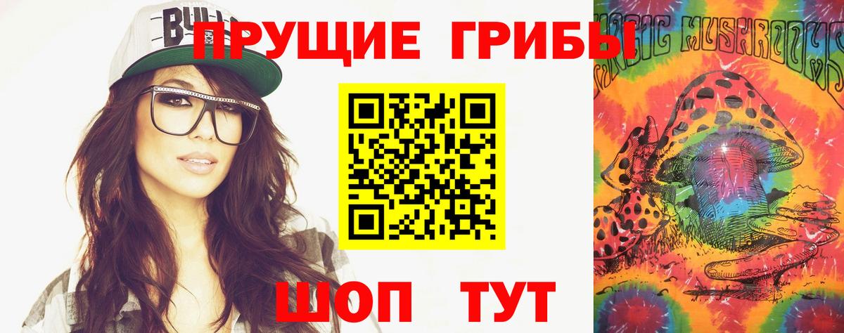 Псилоцибиновые грибы Psilocybe Рязань